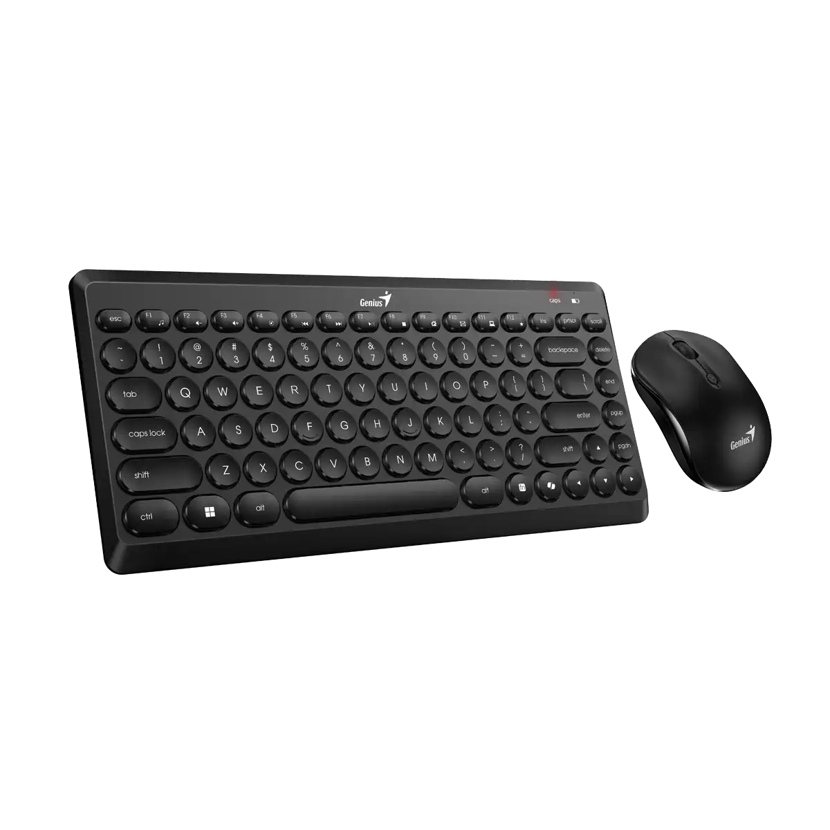 PIC_2025010253_aff734182