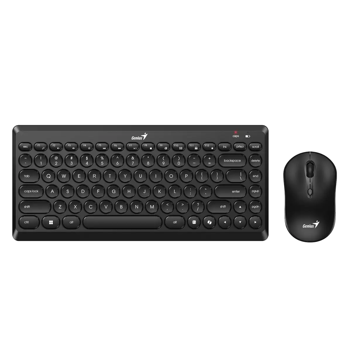 PIC_2025010253_d3da81174