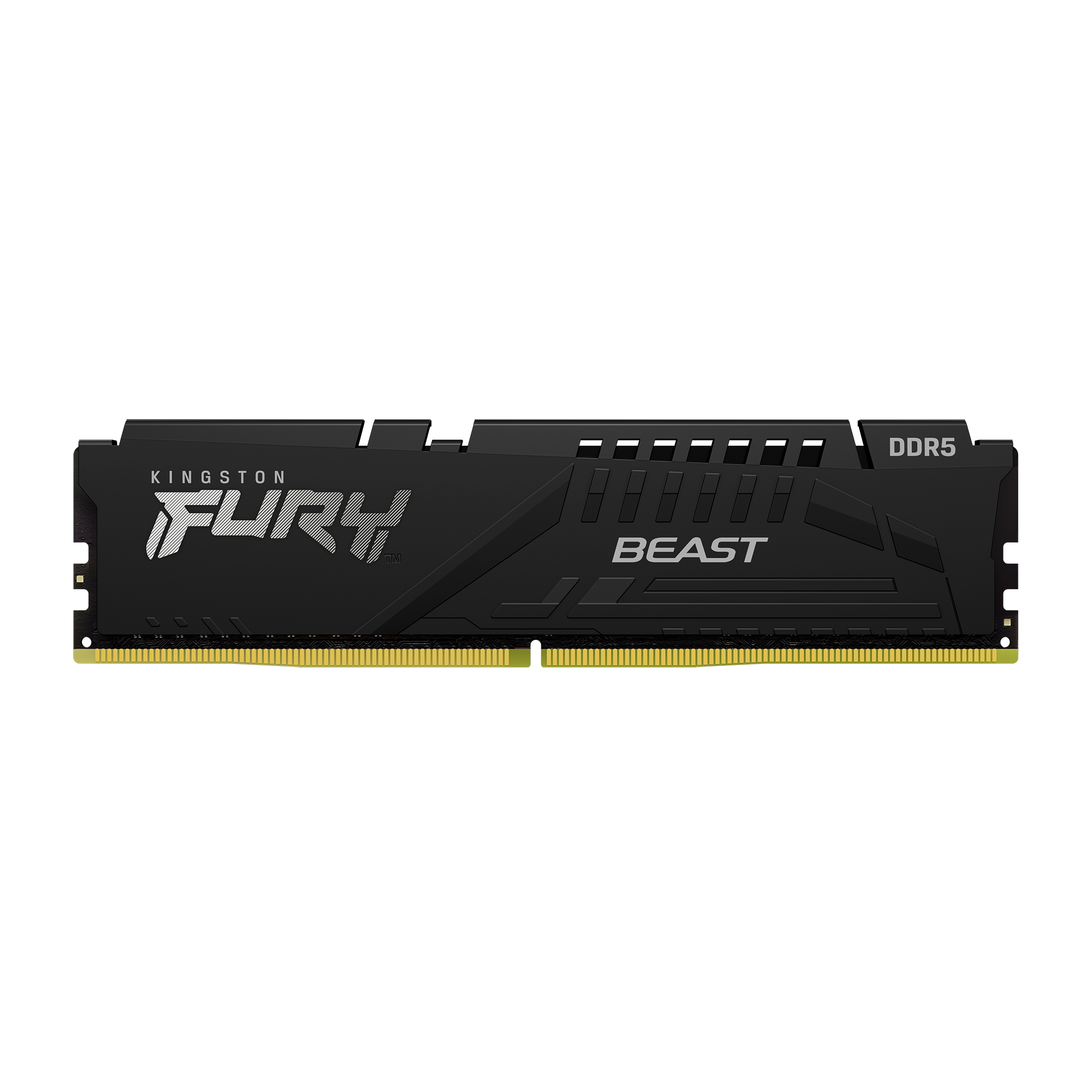 FURY_Beast_Black_DDR5_1-zm-lg