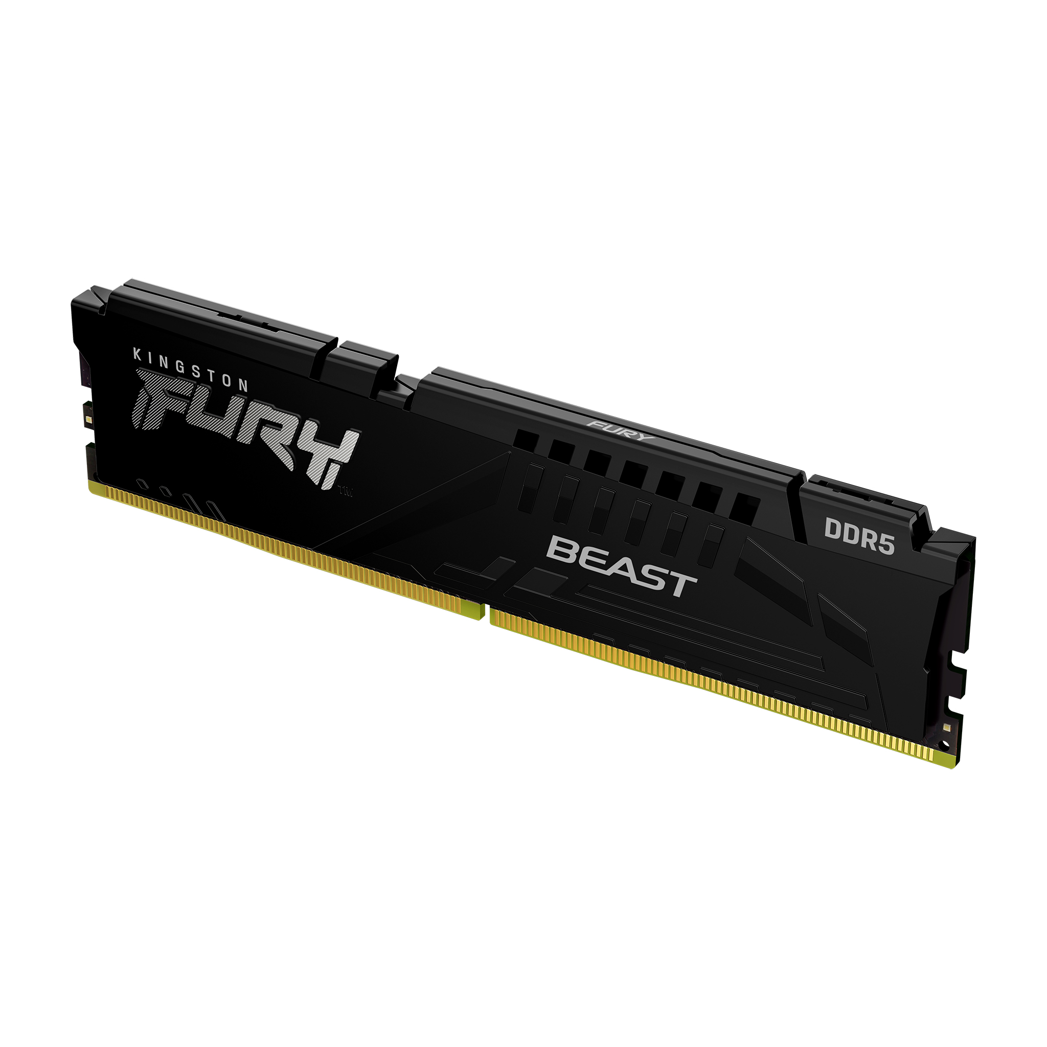 FURY_Beast_Black_DDR5_1_angle-zm-lg